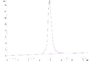 Size-exclusion chromatography-High Pressure Liquid Chromatography (SEC-HPLC) image for Thymic Stromal Lymphopoietin (TSLP) (AA 29-159), (R127A), (R130A) protein (His-Avi Tag) (ABIN7275807)