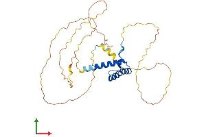 AlphaFold protein structure predicition of Human Recombinant HOXC11 Protein, UniprotID O43248 (HOXC11 Protein (AA 1-304) (His tag))