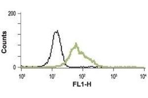 Cell surface detection of BRS3 in live intact human promyelocytic leukemia HL-60 cells: (black line) Unstained cells + goat-anti-rabbit-FITC. (Bombesin Receptor 3 antibody  (2nd Extracellular Loop))