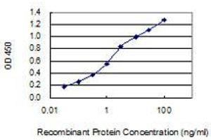 Detection limit for recombinant GST tagged SPPL2A is 0. (SPPL2A antibody  (AA 31-129))