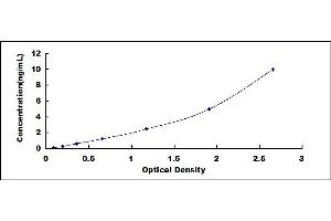Rhodopsin (RHO) ELISA Kit