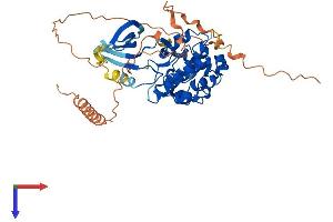 CDK14 Protein (AA 1-469) (His tag)