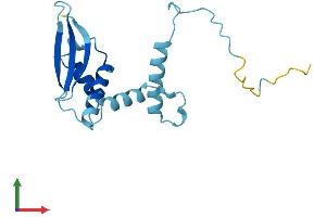 AlphaFold protein structure predicition of Mouse Recombinant Cep19 Protein, UniprotID Q9CQA8