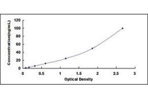 Typical standard curve (Perforin 1 ELISA Kit)