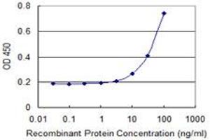 Detection limit for recombinant GST tagged KLK4 is 3 ng/ml as a capture antibody. (Kallikrein 4 antibody  (AA 159-254))
