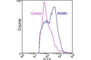 Flow cytometry analysis of HEK293 cells stably overexpressing RGMC stained with RGMC (human), mAb (1D7) at 1:100 dilution (blue line) or normal mouse IgG (control, purple line). (HFE2 antibody  (AA 36-398))