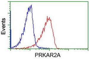 Image no. 1 for anti-Protein Kinase, CAMP-Dependent, Regulatory, Type II, alpha (PRKAR2A) antibody (ABIN1500254) (PRKAR2A antibody)