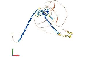 Protein Structure (PS) image for Centrosomal Protein 72kDa (CEP72) (AA 1-647) protein (His tag) (ABIN7553281)