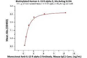 Immobilized Biotinylated Human IL-13 R alpha 2, His,Avitag (ABIN6992336) at 1 μg/mL (100 μL/well) on streptavidin  precoated (0.