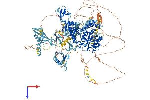 AlphaFold protein structure predicition of Human Recombinant VCPIP1 Protein, UniprotID Q96JH7 (Vcpip1 Protein (AA 1-1222) (His tag))