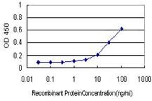 Detection limit for recombinant GST tagged HOP is approximately 3ng/ml as a capture antibody. (HOPX antibody  (AA 1-73))