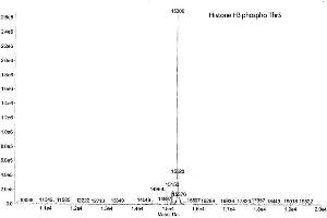Mass Spectrometry (MS) image for Histone 3 (H3) (pThr3) protein (ABIN2669562) (Histone 3 Protein (H3) (pThr3))