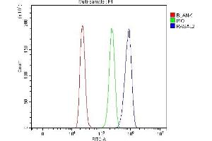 Flow Cytometry analysis of HL-60 cells using anti-RASAL2 antibody (ABIN7602198). (RASAL2 antibody  (AA 624-958))
