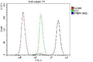 anti-Polypyrimidine Tract Binding Protein 1 (PTBP1) (AA 1-504) antibody