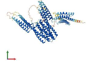 Protein Structure (PS) image for Catenin (Cadherin-Associated Protein), alpha-Like 1 (CTNNAL1) (AA 1-731) protein (His tag) (ABIN7562591)