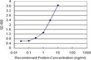 CALML3 (Human) Matched Antibody Pair