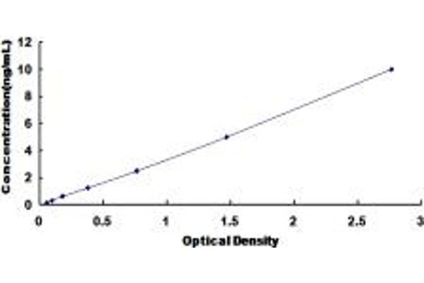 FDPS ELISA Kit