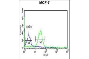 TAF2 Antibody (C-Term) (ABIN653923 and ABIN2843157) flow cytometric analysis of MCF-7 cells (right histogram) compared to a negative control cell (left histogram). (TAF2 antibody  (C-Term))