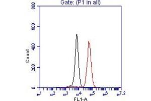 Flow Cytometry (FACS) image for anti-Tumor Protein P53 (TP53) (AA 50-100) antibody (ABIN7454600)