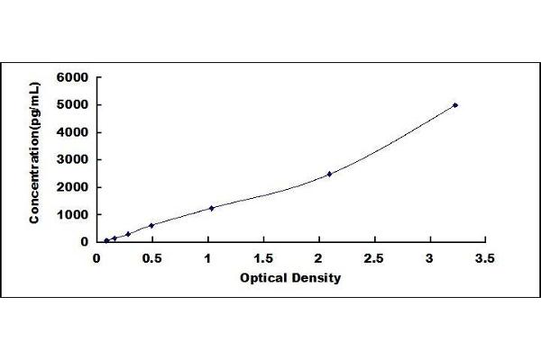 Aryl Hydrocarbon Receptor ELISA Kit