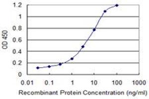 Detection limit for recombinant GST tagged SEC13 is 0. (SEC13 antibody  (AA 226-324))