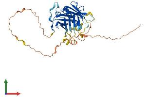 Protein Structure (PS) image for phospholipid Scramblase 1 (PLSCR1) (AA 1-318) protein (His tag) (ABIN7554982)