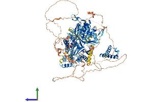 Protein Structure (PS) image for RecQ Protein-Like 4 (RECQL4) (AA 1-1208) protein (His tag) (ABIN7555181)
