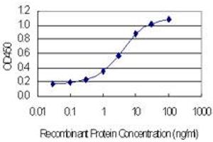 Detection limit for recombinant GST tagged NOP10 is 0. (Nop10 antibody  (AA 1-64))