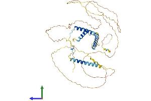 AlphaFold protein structure predicition of Mouse Recombinant Cfap97 Protein, UniprotID Q6ZPR1 (CFAP97/KIAA1430 Protein (AA 1-541) (His tag))