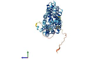AlphaFold protein structure predicition of Human Recombinant SLC2A8 Protein, UniprotID Q9NY64