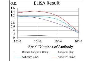 Black line: Control Antigen (100 ng), Purple line: Antigen(10 ng), Blue line: Antigen (50 ng), Red line: Antigen (100 ng), (PON1 antibody  (AA 20-155))