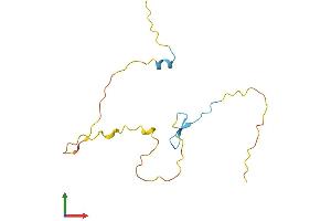 AlphaFold protein structure predicition of Human Recombinant PRR15 Protein, UniprotID Q8IV56