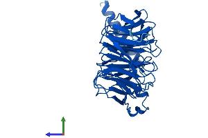 AlphaFold protein structure predicition of Mouse Recombinant Gnb3 Protein, UniprotID Q61011 (GNB3 Protein (AA 1-340) (His tag))