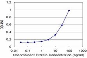 Detection limit for recombinant GST tagged MYL3 is approximately 3ng/ml as a capture antibody. (MYL3/CMLC1 antibody  (AA 1-195))