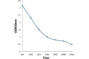 PBLD1 antibody  (AA 60-110)