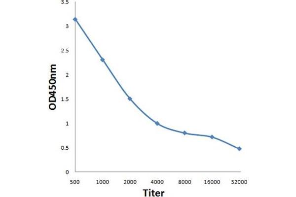 PBLD1 antibody  (AA 60-110)