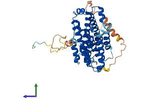 Protein Structure (PS) image for Ribonucleotide Reductase M2 (RRM2) (AA 1-390) protein (His tag) (ABIN7562833)