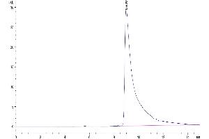 The purity of Mouse APOA2 is greater than 95 % as determined by SEC-HPLC. (APOA2 Protein (AA 19-102) (Fc Tag))