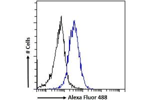 (ABIN263149) Flow cytometric analysis of paraformaldehyde fixed A549 cells (blue line), permeabilized with 0.
