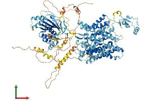 AlphaFold protein structure predicition of Mouse Recombinant Slc4a8 Protein, UniprotID Q8JZR6 (SLC4A8 Protein (AA 1-1089) (His tag))