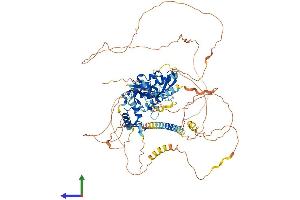 Protein Structure (PS) image for Interferon Regulatory Factor 2 Binding Protein-Like (IRF2BPL) (AA 1-796) protein (His tag) (ABIN7548382)