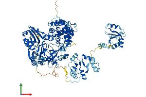Protein Structure (PS) image for Ligase IV, DNA, ATP-Dependent (LIG4) (AA 1-911) protein (His tag) (ABIN7553715)