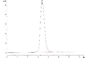 The purity of Mouse TIM-3 is greater than 95 % as determined by SEC-HPLC. (TIM3 Protein (AA 22-191) (His tag))