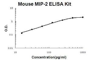 Mouse MIP-2 PicoKine ELISA Kit standard curve (CXCL2 ELISA Kit)