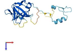 AlphaFold protein structure predicition of Human Recombinant HERVK_113 Protein, UniprotID P63121