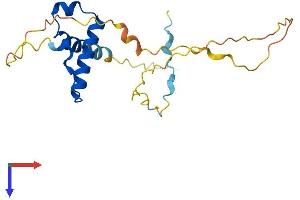 SSX1 Protein (AA 1-188) (His tag)