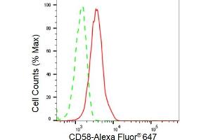 Flow cytometric analysis of CD58 expression in HeLa cells using CD58 antibody (ABIN7797977), 1:2,000). (Recombinant CD58 antibody)