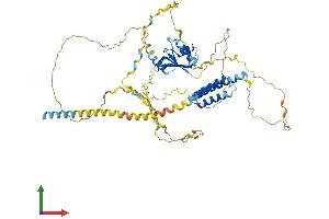 Protein Structure (PS) image for Cleavage and Polyadenylation Specific Factor 6, 68kDa (CPSF6) (AA 1-551) protein (His tag) (ABIN7546763)