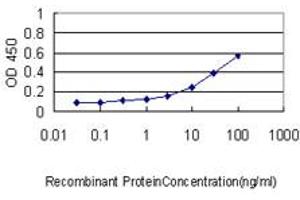 Detection limit for recombinant GST tagged MDS028 is approximately 0. (ITFG2 antibody  (AA 1-447))