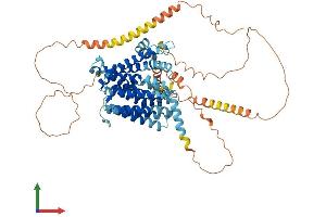 AlphaFold protein structure predicition of Human Recombinant SLC24A2 Protein, UniprotID Q9UI40 (SLC24A2 Protein (AA 1-661) (His tag))